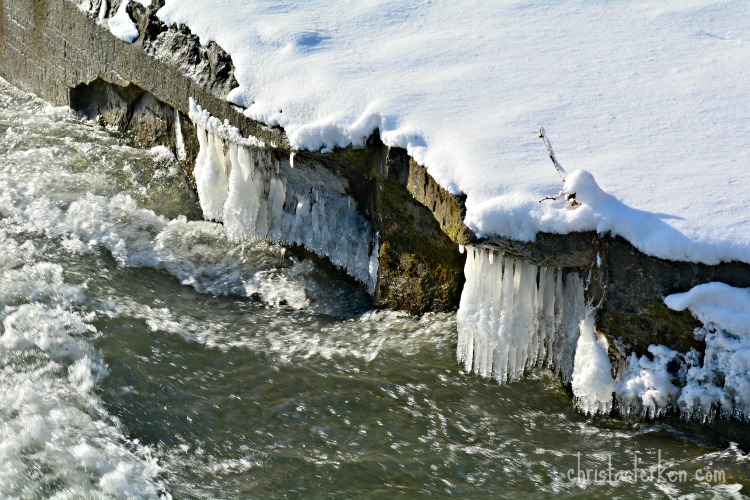 Photography {Arctic Blast Winter Storm} 