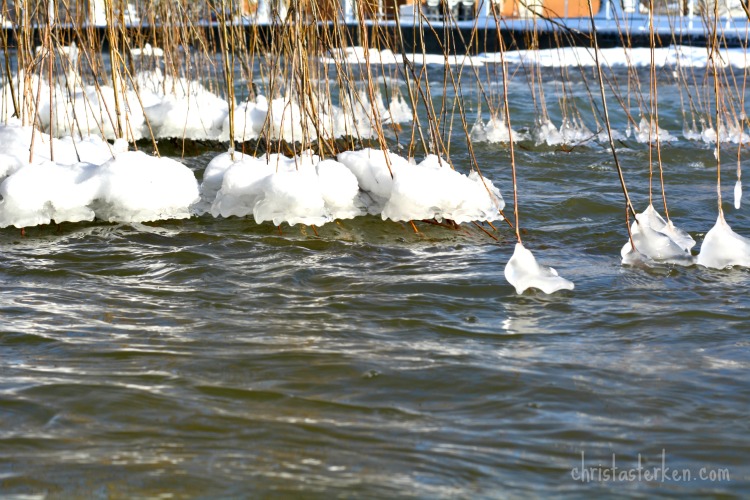 Photography {Arctic Blast Winter Storm} 