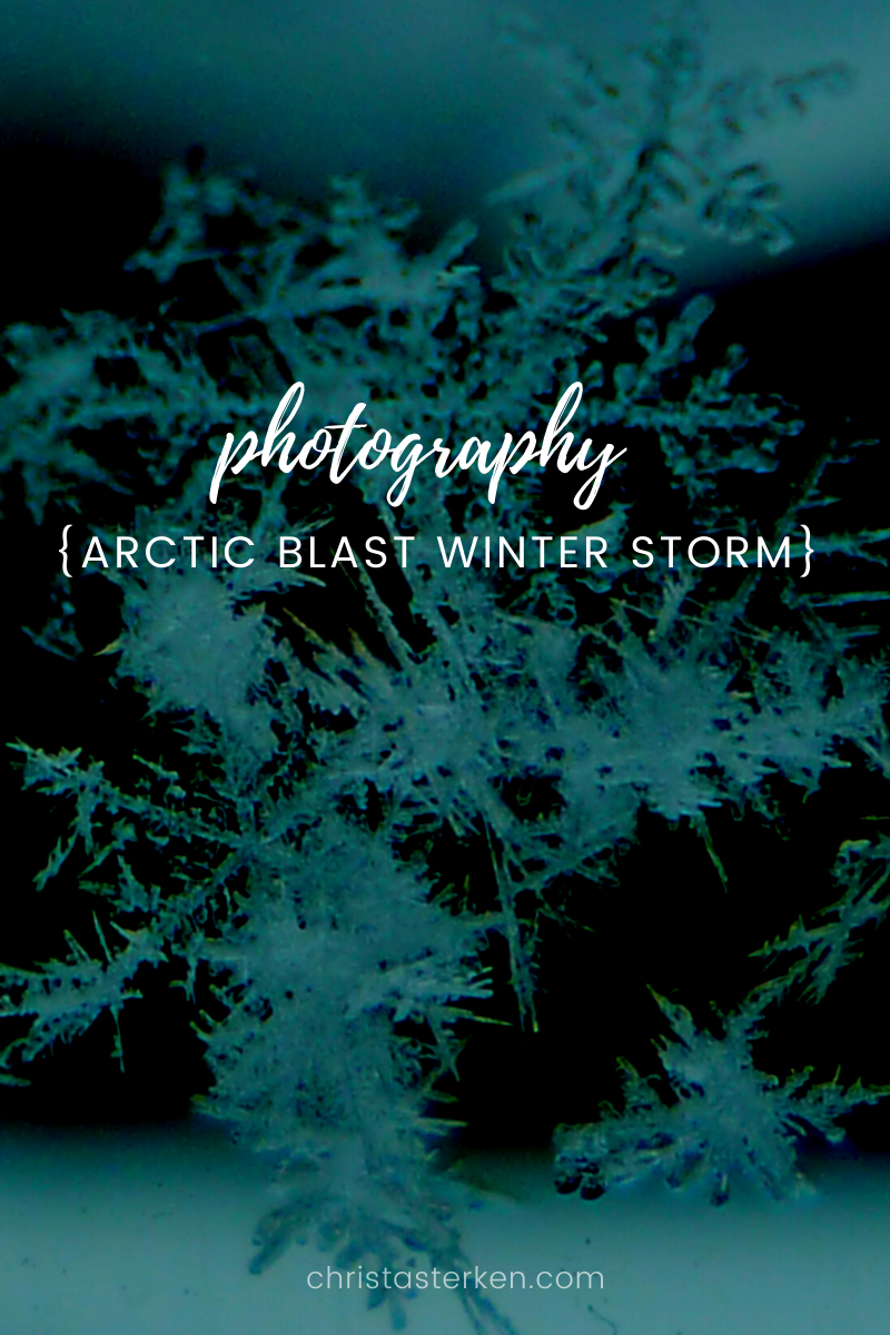 Polar vortex- Photography