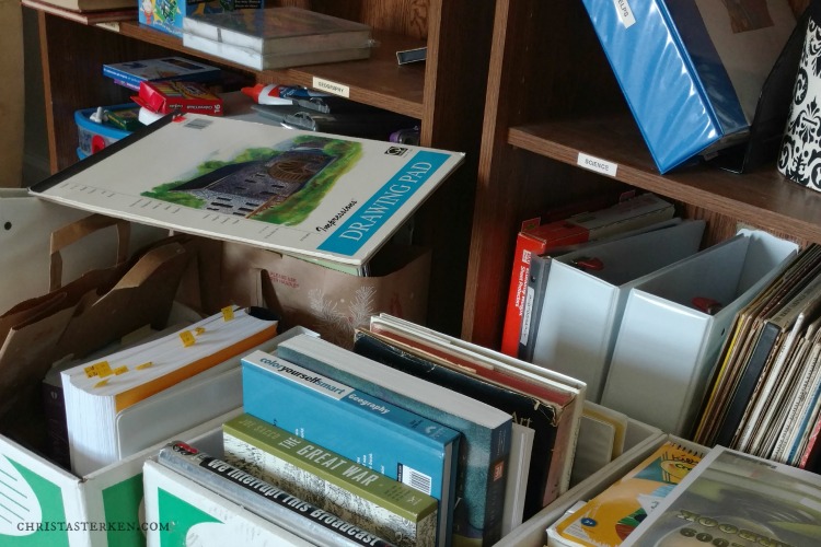 piles of homeschooling books