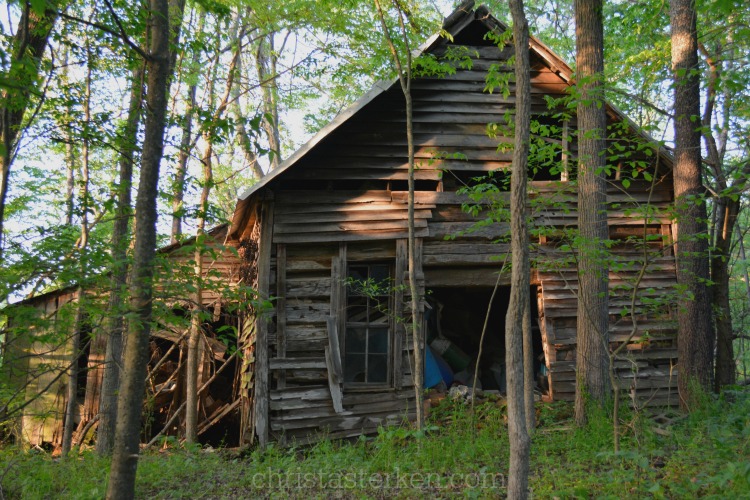 Photography {Abandoned Backwoods}