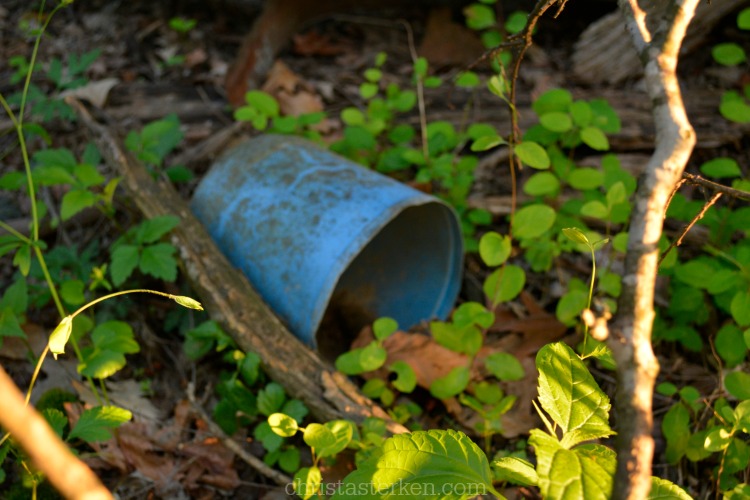 Photography {Abandoned Backwoods}