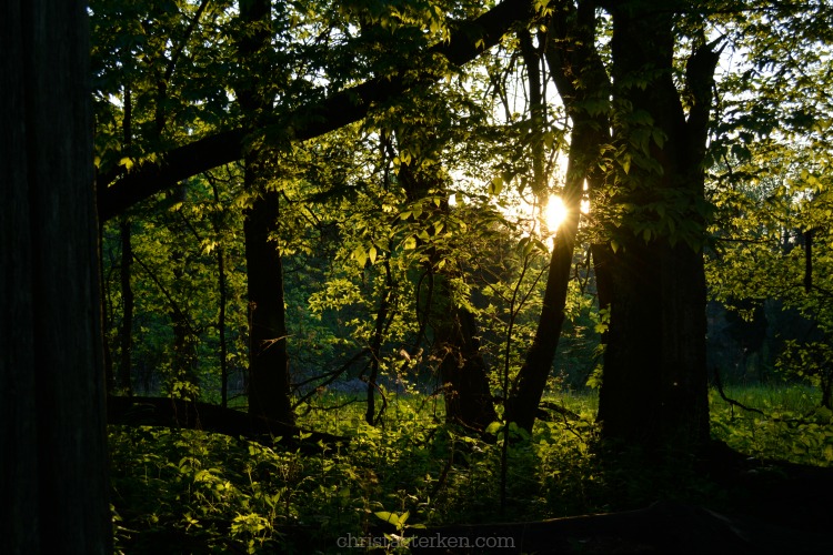 Photography {Abandoned Backwoods}