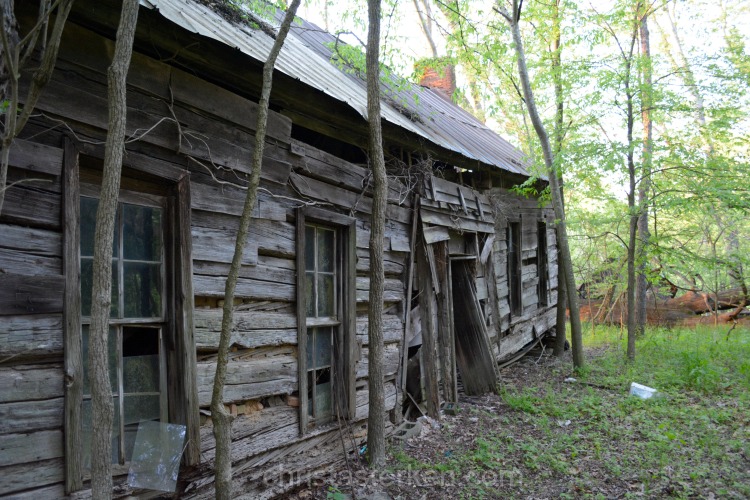 Photography {Abandoned Backwoods}