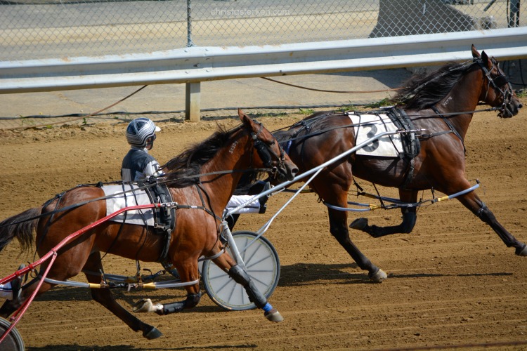 horse race at state fair