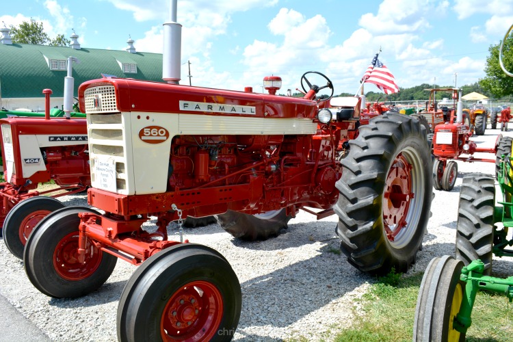 Red Farmall 560 tractor