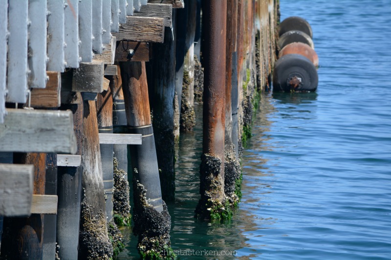 pier in monterey