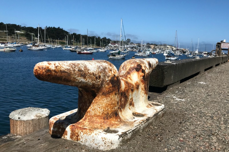 dock in the harbor of monterey