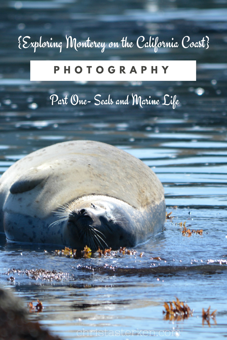 Exploring Monterey on the California Coast- photography