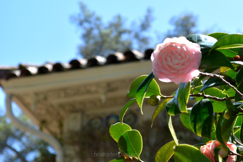 Photography {Hearst Castle} 