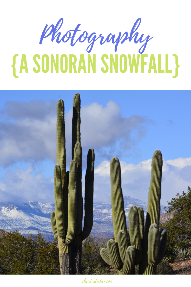 A Sonoran Snowfall- Photography