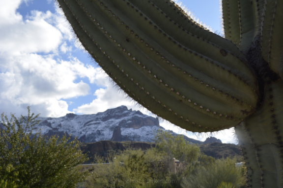 Christa Sterken Photography {A Sonoran Snowfall} 