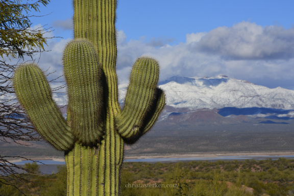 Christa Sterken Photography {A Sonoran Snowfall} 