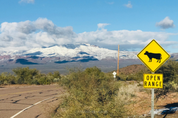 open range sign