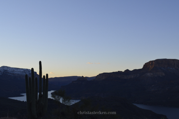 dusk behind saguaro and river