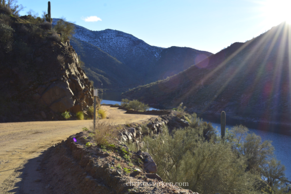 afternoon sun along a desert river