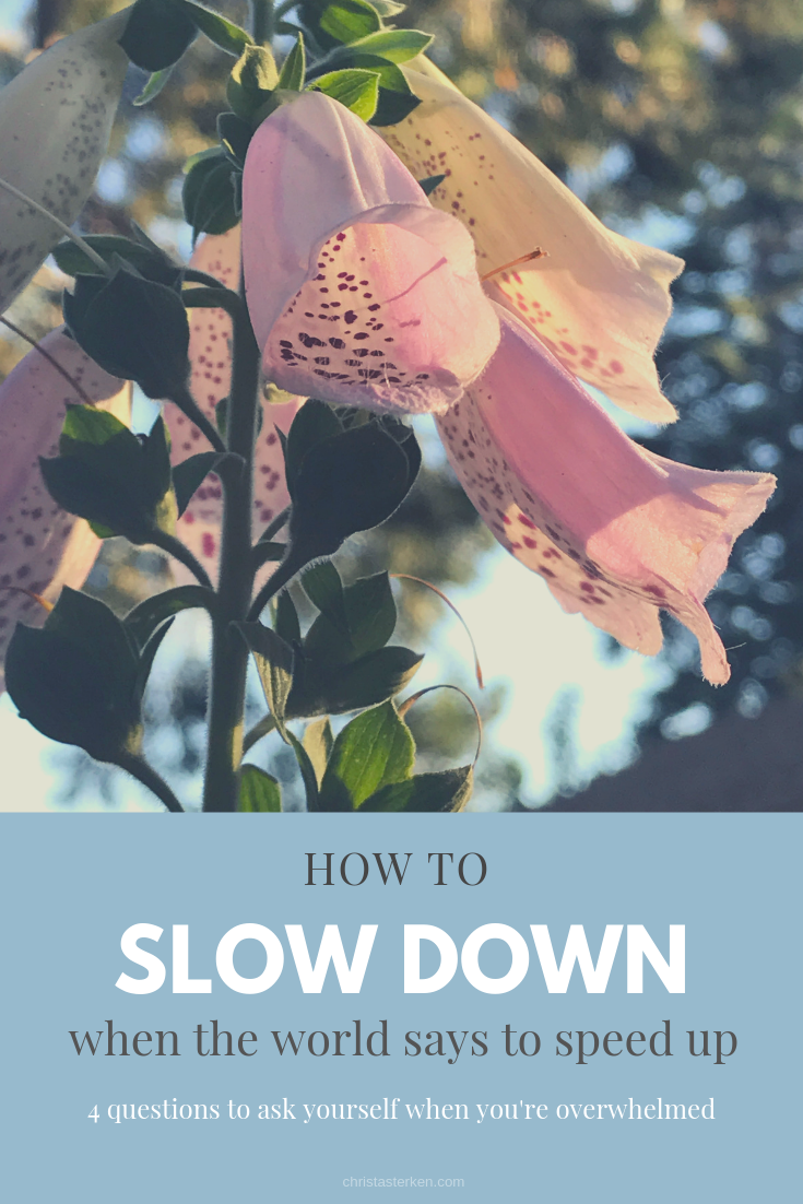 How to slow down and enjoy life: 4 questions to help you start