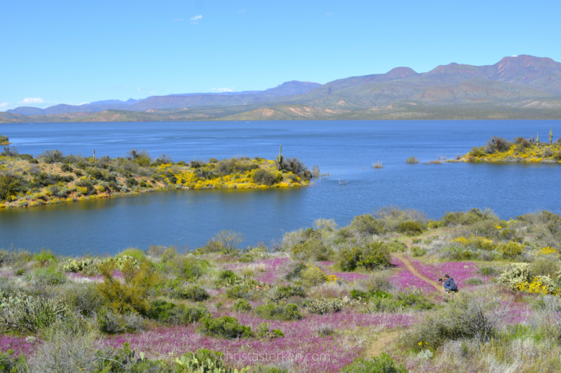 Roosevelt lake in spring