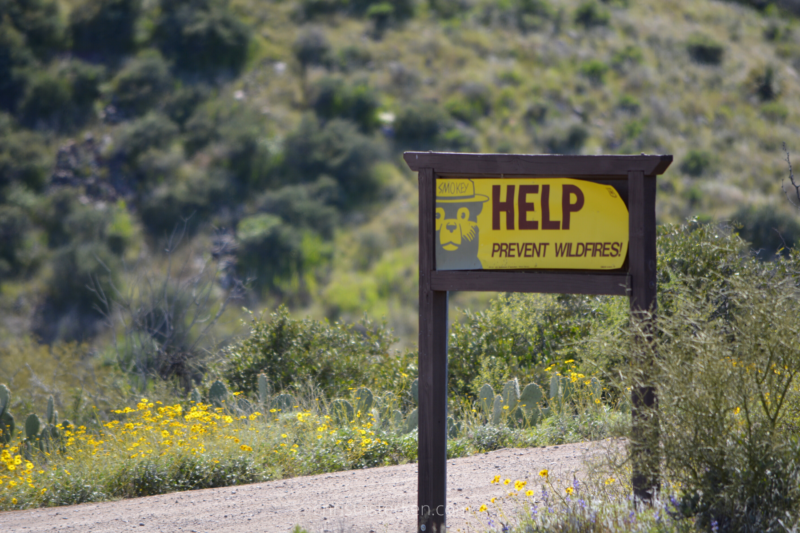 smokey the bear wildfire sign