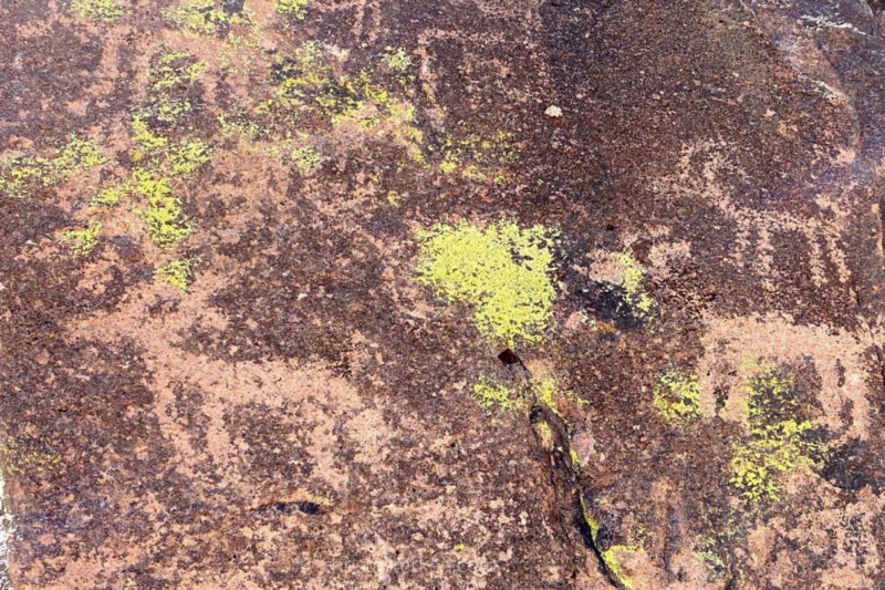 petroglyphs in desert