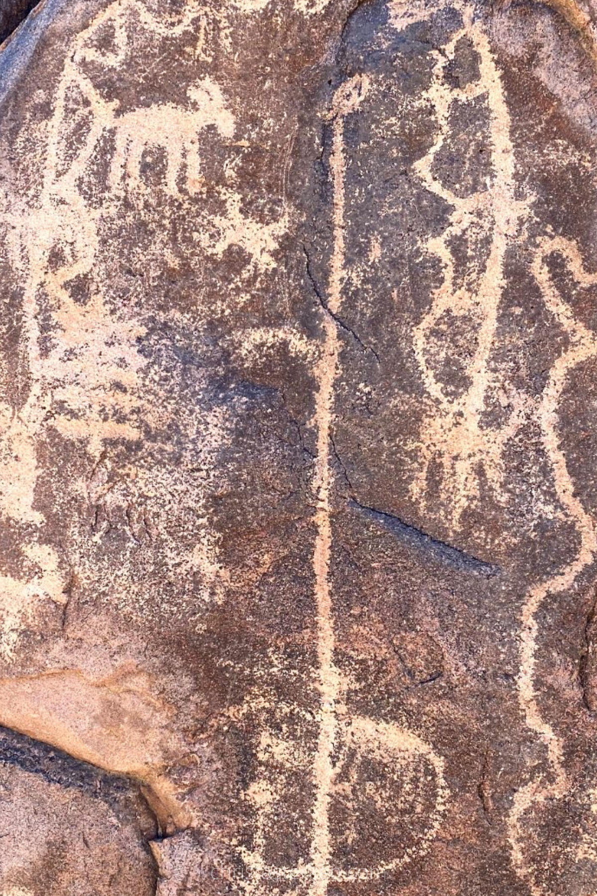 petroglyphs in desert