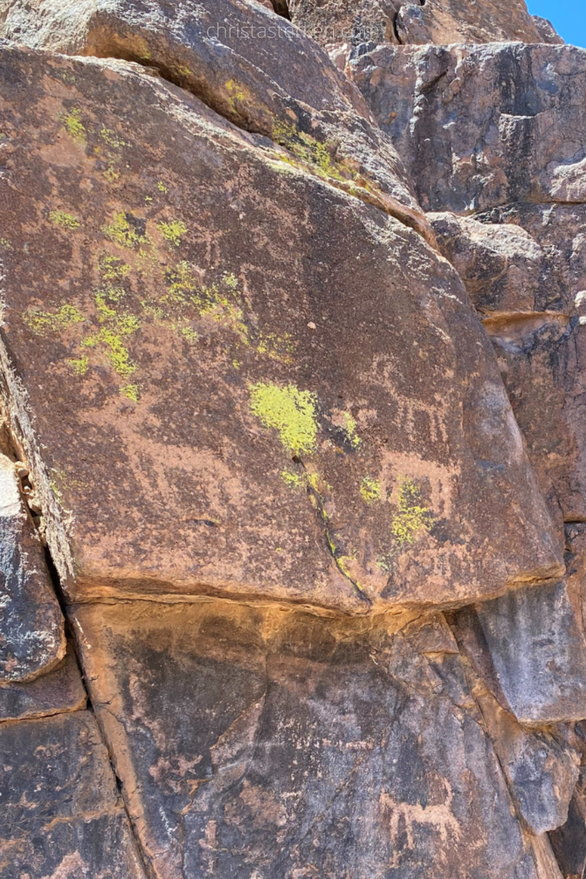 petroglyphs in desert 