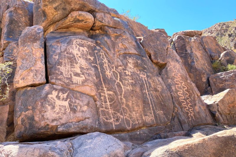 petroglyphs in desert 