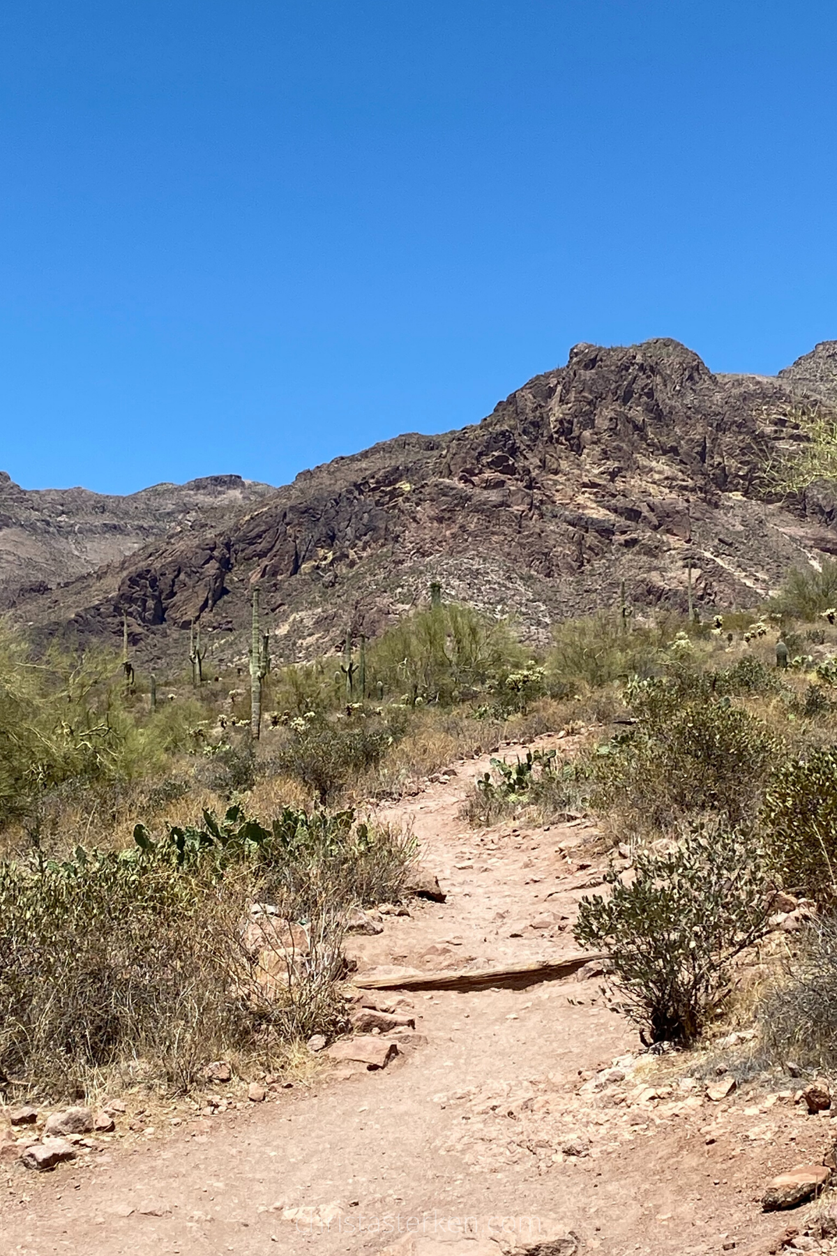 hike on desert trail
