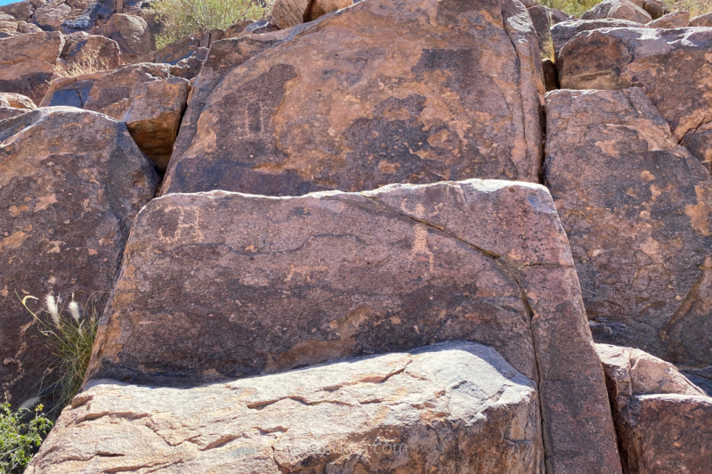 petroglyphs in desert 