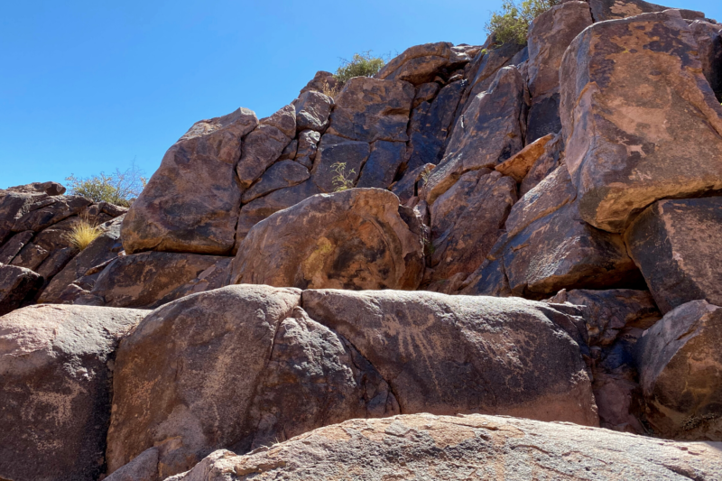 petroglyphs in desert 