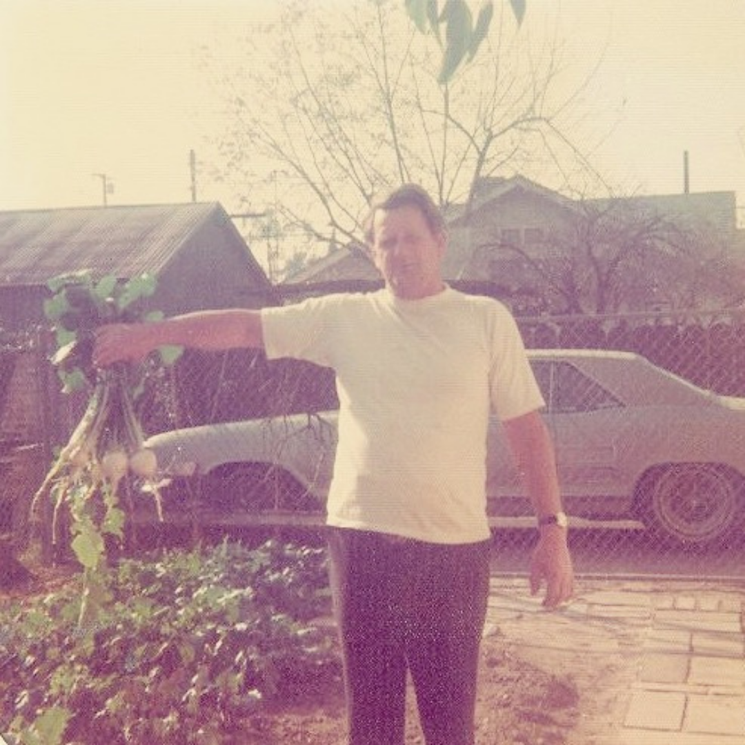 vintage man in garden showing off turnips