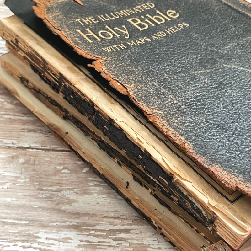 Toby's family Bible