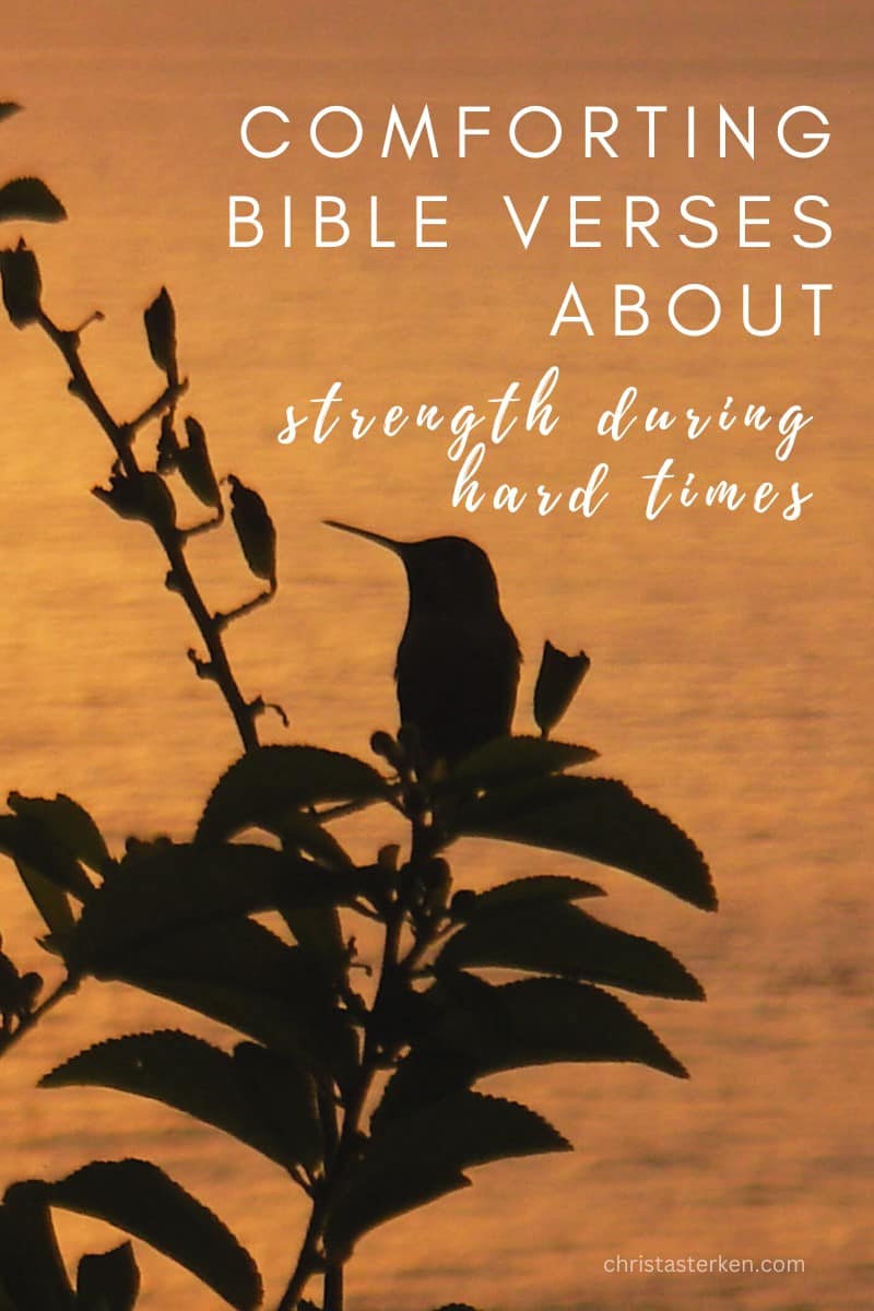 10 comforting Bible verses about strength in hard times