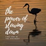 The power of slowing down