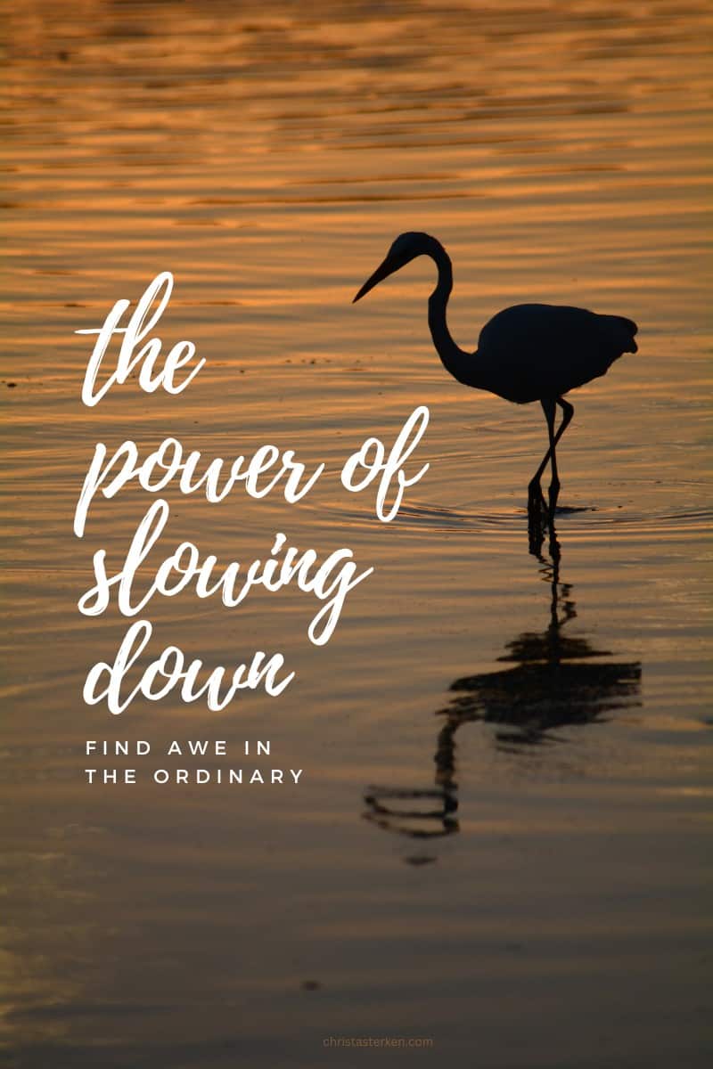 The power of slowing down in life to find awe in the ordinary