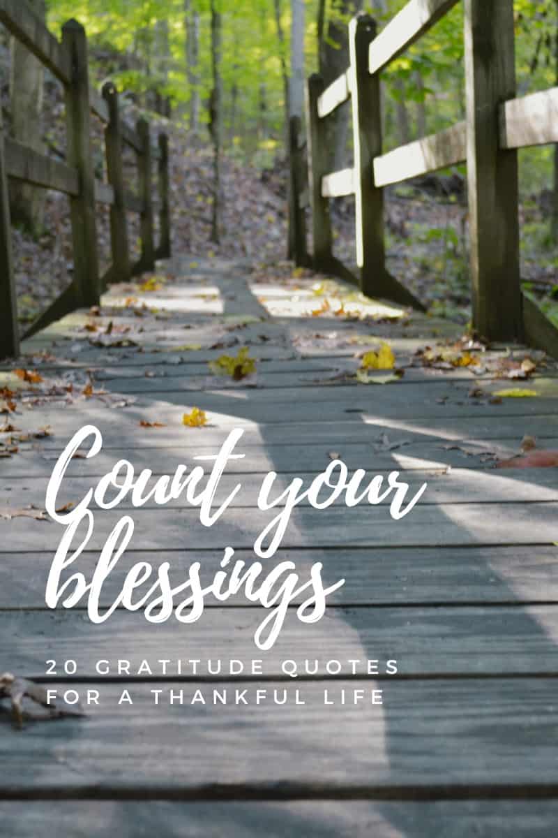 20 Gratitude quotes for a thankful life