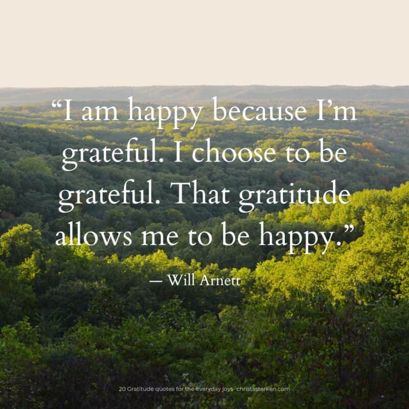20 Gratitude quotes for a thankful life