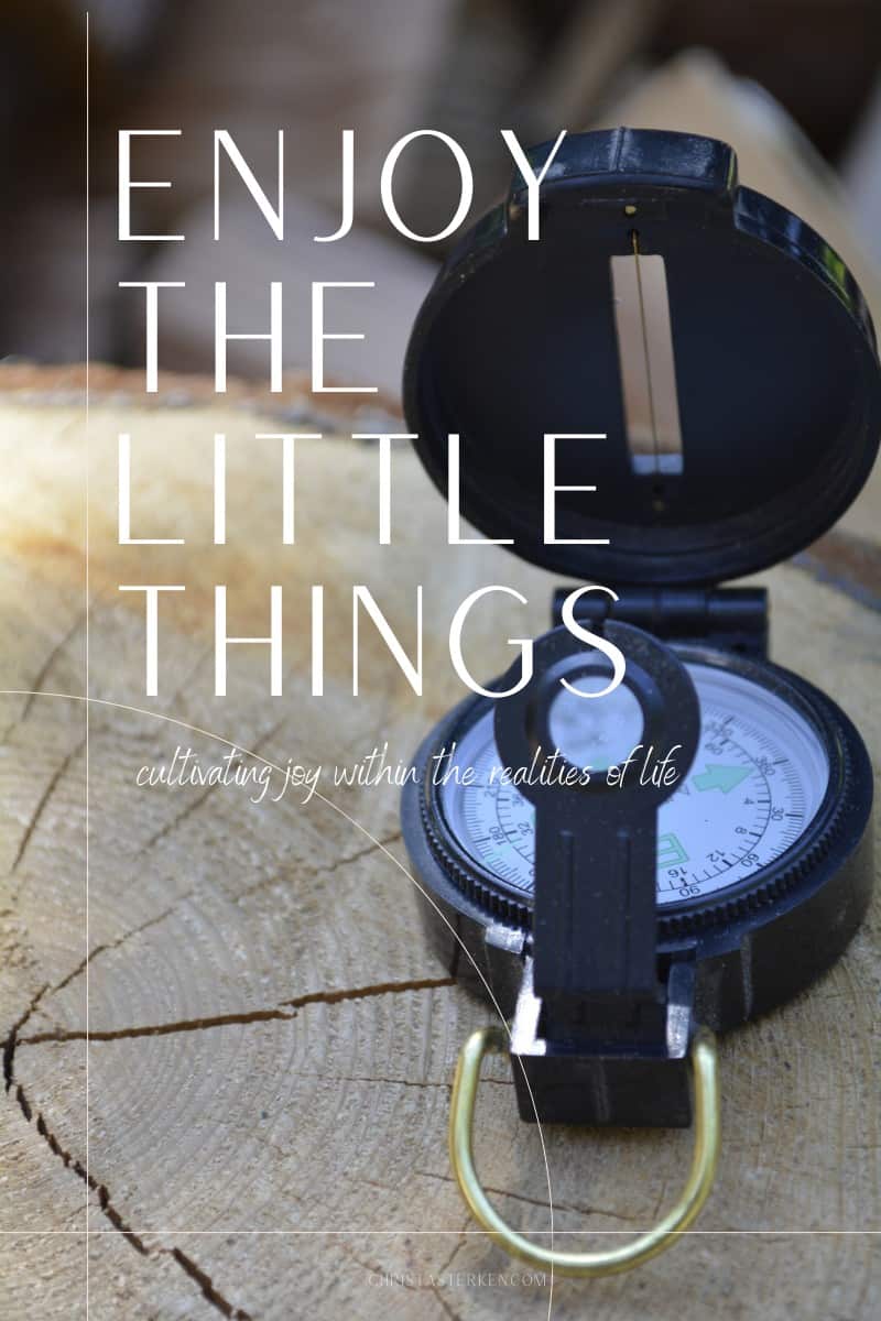 Enjoy the little things | cultivating joy within the realities of life