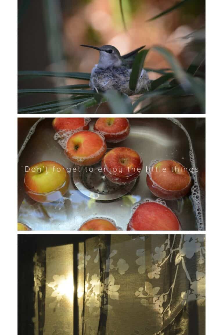 Enjoy the Little Things in Life: Finding Joy in Small Moments