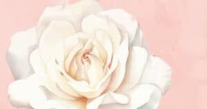 faith family homemaking newsletter